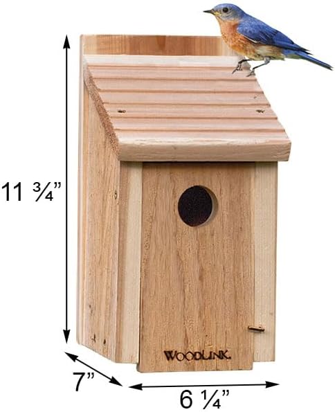 BestNest Club Pack of 6 Woodlink Bluebird House DIY Craft Kits – Precut Wooden Panels & Screws – Easy Assembly Bluebird Nest Boxes for Kids, Scouts, Schools, or Group Crafts – Outdoor Bird Shelter