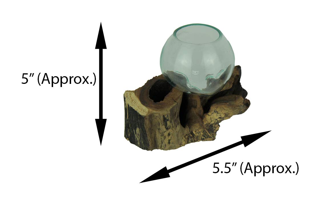 Zeckos Molten Glass On Teak Driftwood Decorative Bowl Vase Terrarium Planter Set of 2