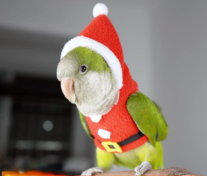 Bird Clothes Birds Flight Suit, Christmas Hoodie for Parrots Cockatiel Sun Conure Christmas Party Cosplay Photo Prop Bird Shirt Small Animals Apparel (with Diaper,Green-cheeked Conure)