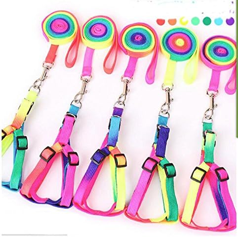 Hypeety Pet Bird Harness and Leash with Buckle Adorable Rainbow Design Safe Parrot Leash Pet Harness Outdoor Adjustable Anti Bite Training Rope for Macaw Large Size Bird (1.5cm × 47.24in)
