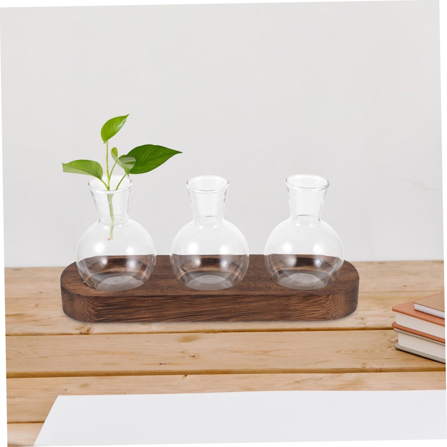 IWOWHERO Elegant Green Pothos Plant Container Glass Vase with Simple Design for Home Office Decor