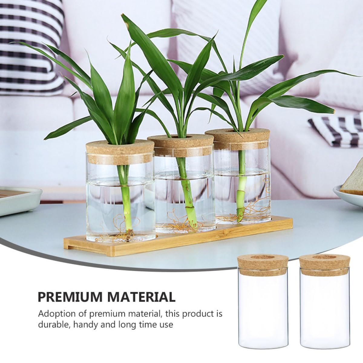 FOMIYES 2pcs Glass Flower Bottle Vase for Hydroponics with Cork Stopper, 6.5cm X 10cm Glass Home Decor Planter for Indoor Plants and Moss Terrarium