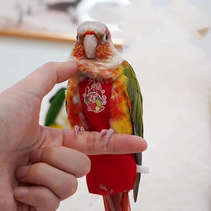 MANON ROSA Bird Diapers Leash Set Washable Reusable Handmade Flight Suit Waterproof Inner Layer - Protective Parrot Nappy Clothes Parakeets Macaws Budgies Canaries (Red3,Budgie)