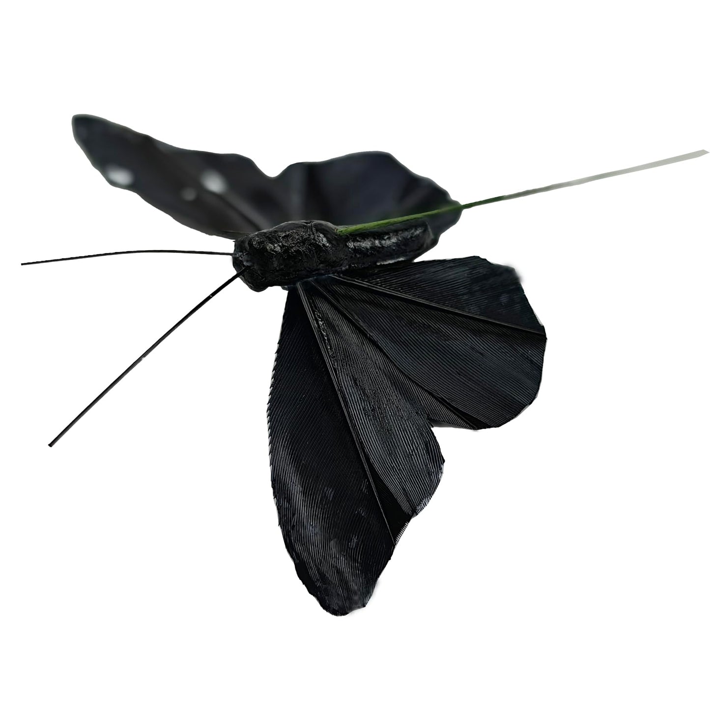 YCHTEWY- 12 pcs Black Butterflies Party Decorations Halloween Decoration Home Decoration…