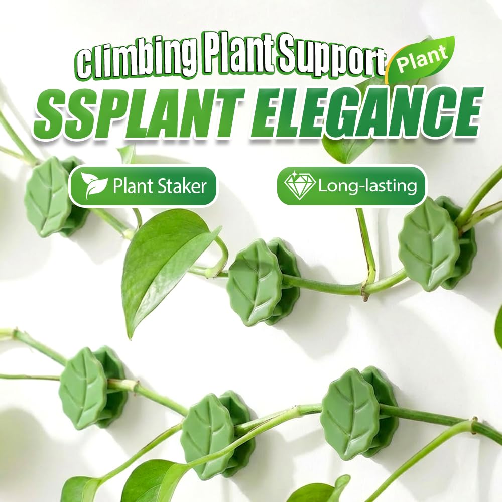 60 Pcs Plant Climbing Wall Fixture Clips with Acrylic Adhesive Stickers, Leaf Fixer Invisible Wall Vines Fixing Clips Self-Adhesive Hook Plant Vine Traction for Indoor Outdoor Decoration (60 Pcs)