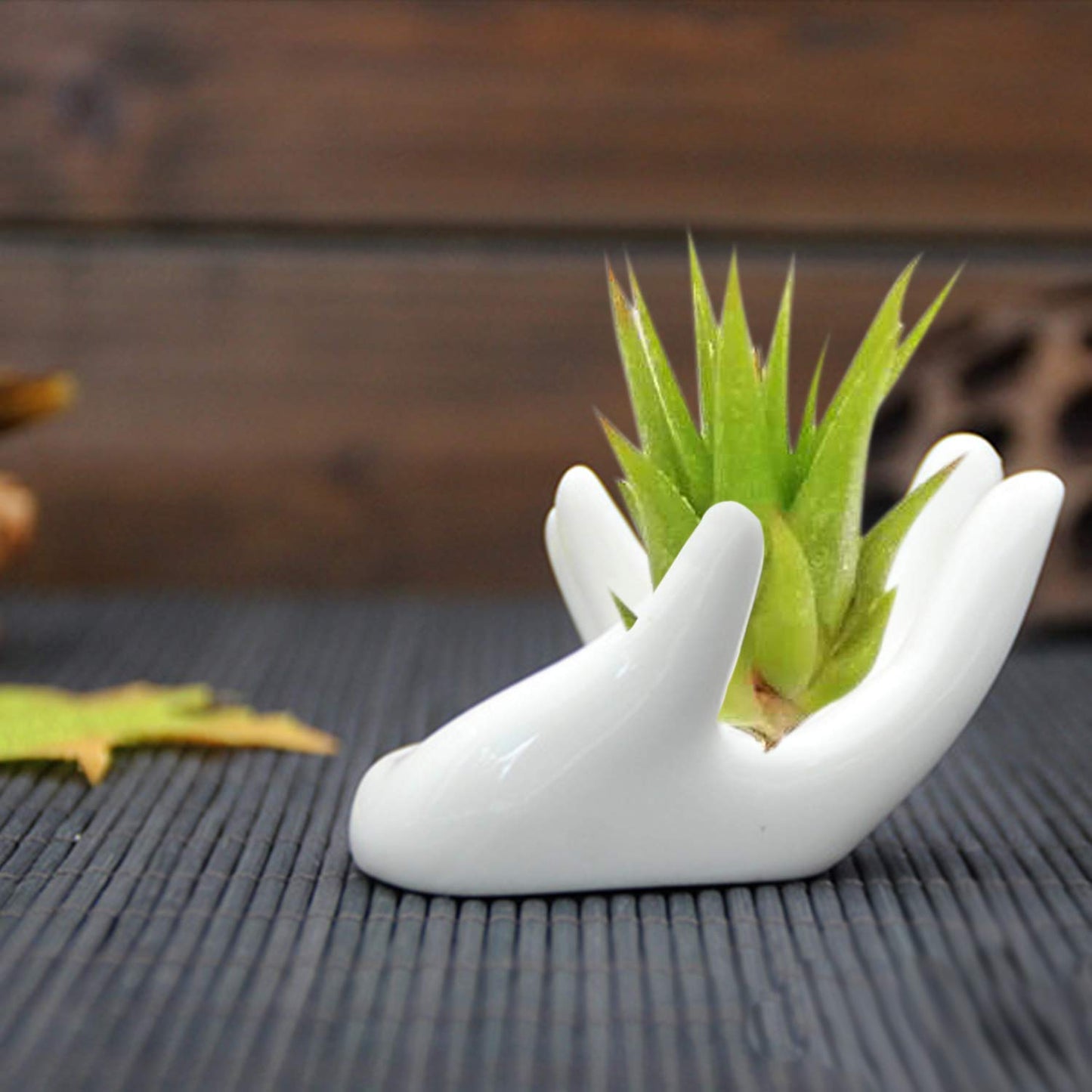 6 Pack Ceramic Air Plant Stand Holder, Hand Shape Tillandsia Airplant Container Pot Tabletop Plant Display Hand Racks for Home Office Decoration Supplies(White)