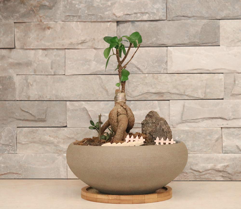 MUZHI Round Unglazed Ceramic Bonsai Pot with Bamboo Tray, Large Rough Pottery Succulent Planter with Drainage Hole 8 inch … (8”)