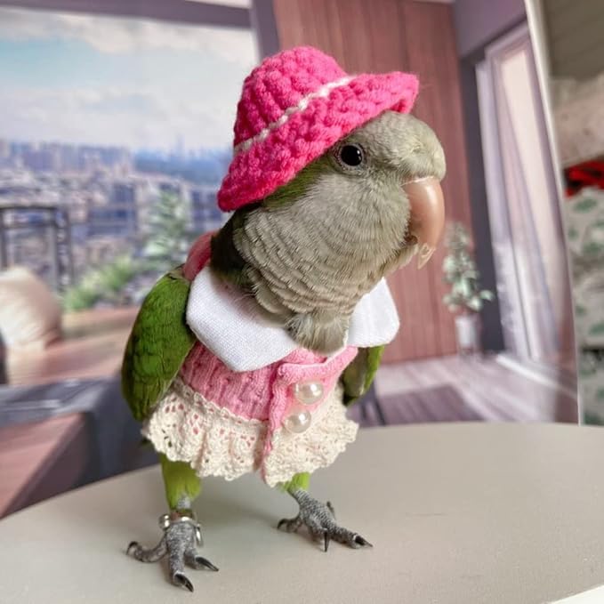 Bird Costume Bird Diaper Flight Suit Bird Pink Top Bird Clothes Cosplay Photo Prop for Parrots Lovebird Parakeet Cockatiel Small Animals Apparel (Cockatiel)