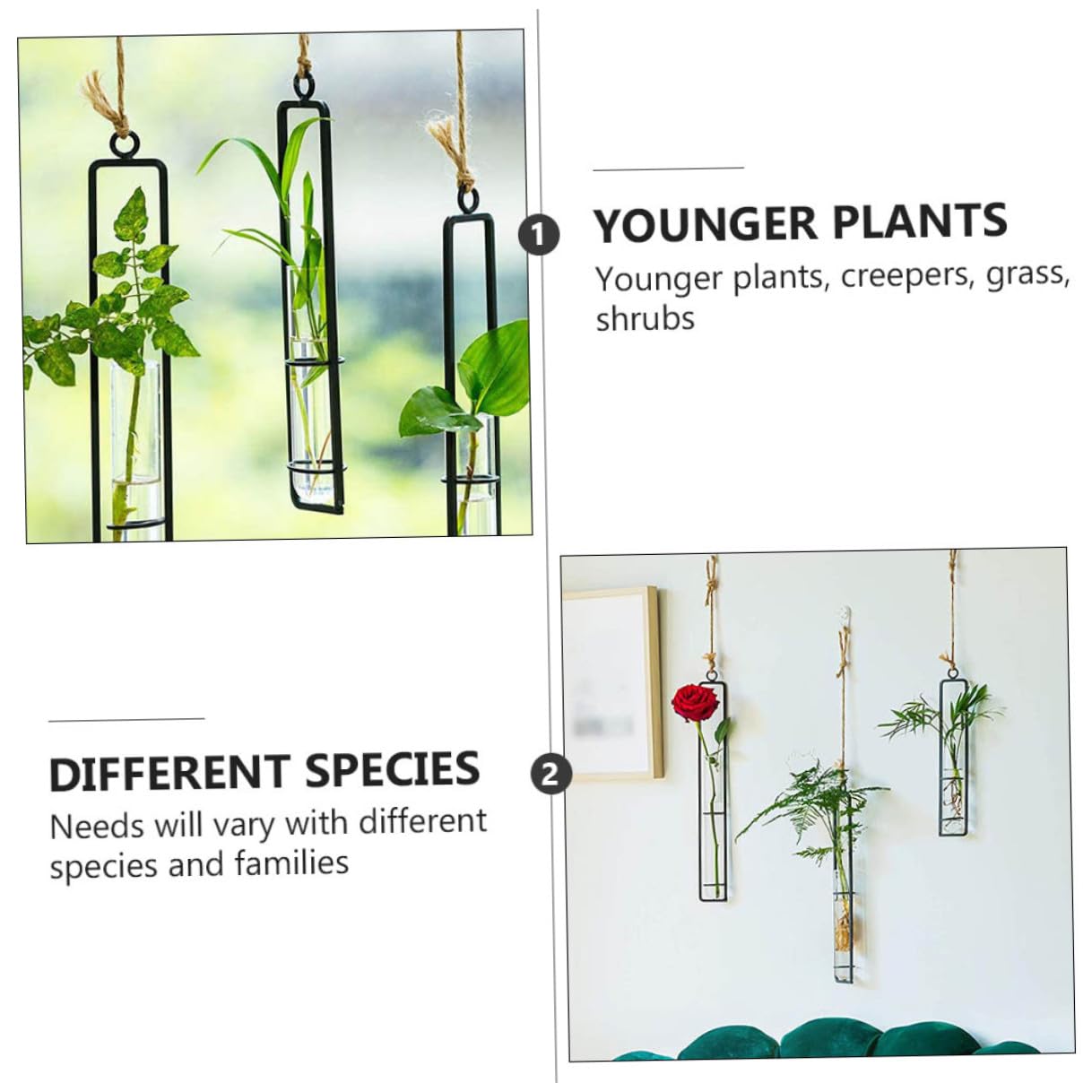 BESTonZON Wall Hanging Hydroponic Glass Test Tube Flower Vase Set with Iron Frame Plant Propagation Tubes for Home Garden Decoration Includes 3 Hemp Ropes and 3 Adhesive Hooks