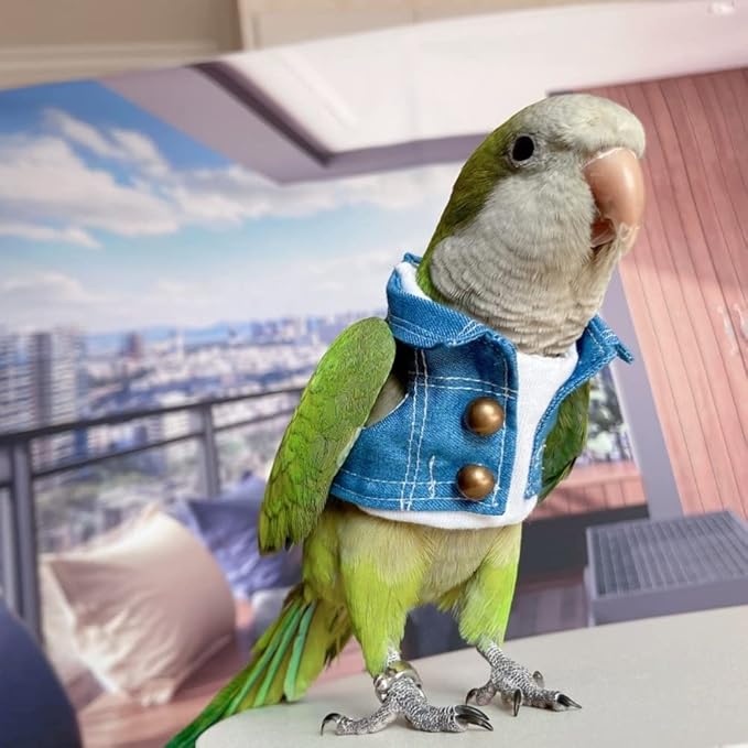 Bird Costume Bird Diaper Flight Suit Bird Jeans Fake Two Pieces Bird Clothes Cosplay Photo Prop for Parrots Lovebird Parakeet Cockatiel Small Animals Apparel (with Diaper,Crested Myna)