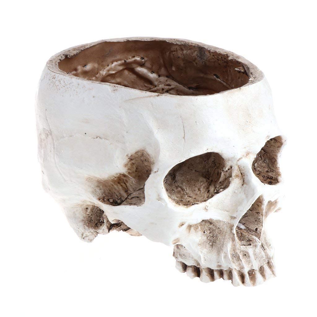 Skull planter , Resin Skull Head Flower Succulent Cactus Planter Pots , Small Object Containers Keys Sugar Candy Bowl, for Home Office Desk Decorations,Halloween Scene Statue Sculpture (White)