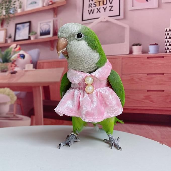 Bird Costume Bird Diaper Flight Suit Parrot Velvet Fleece Skirt Clothes Cosplay Photo Prop for Conure Lovebird Parakeet Cockatiel Macaw Small Animals Apparel (White,Medium)