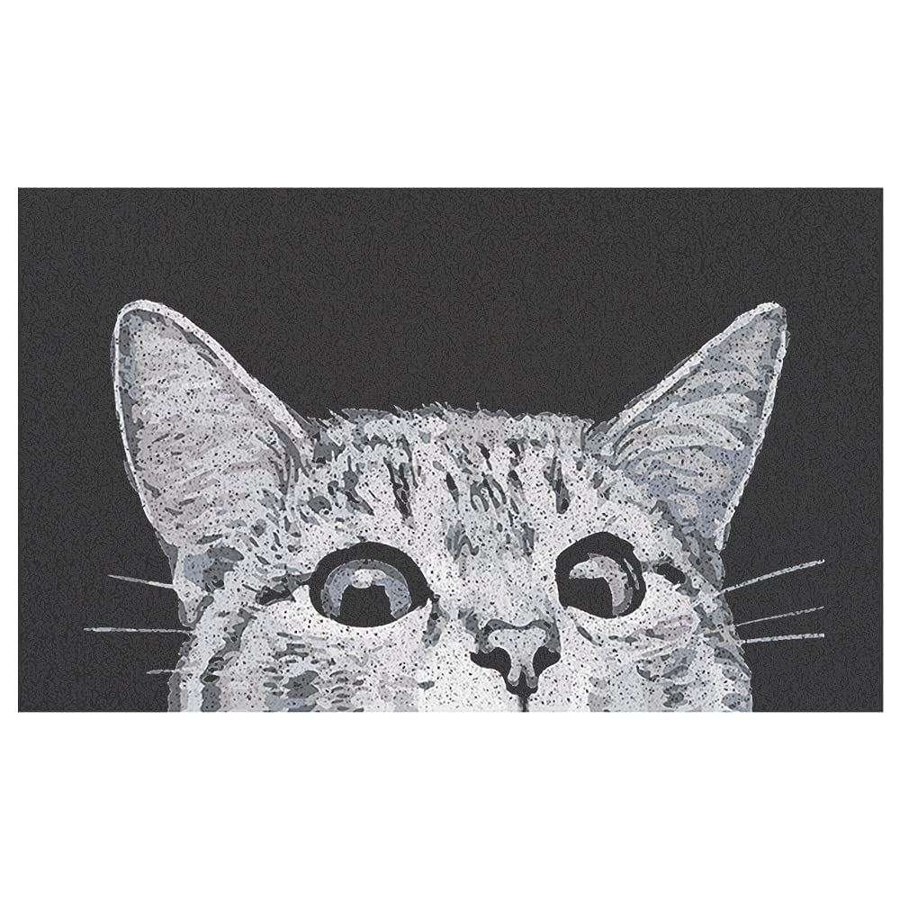 MR FANTASY Cat Door Welcome Mat - Outdoor Entrance, Durable Doormat for Indoors & Outdoors, High Traffic Areas, 17x29
