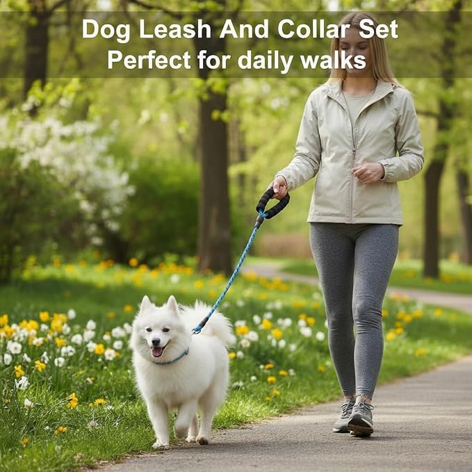 Dog Leash and Collar Set – 6 FT Strong Rope Leash with Padded Handle & Adjustable Nylon Collar Reflective for Small Medium Large Dogs (Blue, S)