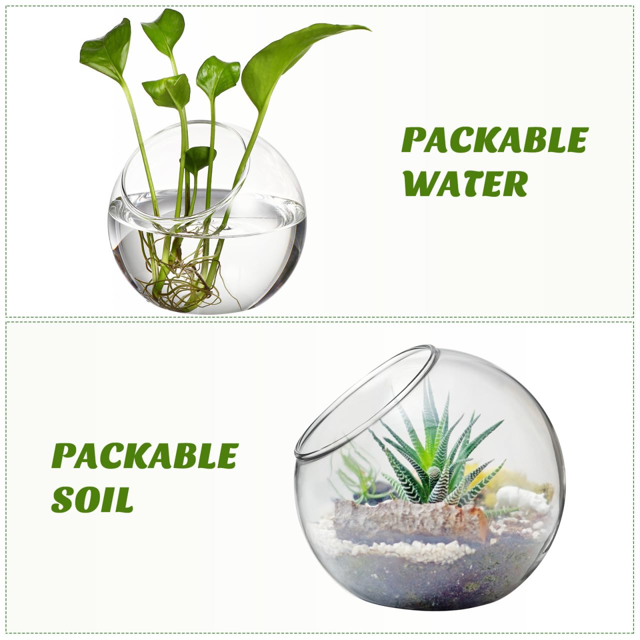 VANZACK 3pcs Round Glass Terrarium Vases Stylish Air Plant Containers for Home Office Decor Beveled Opening for Easy Plant Display for DIY Projects and Centerpieces