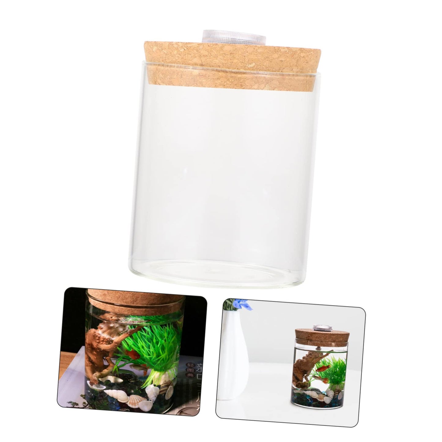 Ciieeo Cylinder High Borosilicate Glass Moss Plant Bottle Creative DIY Microlandscape Terrarium Holder for Indoor Decoration Mini Fish Tank