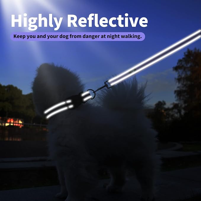 IVY&LANE Reflective Dog Collar and Leash Set,Adjustable Neoprene Padded Dog Collars for Puppy, Breathable Nylon Pet Collar for Small Medium Large Dogs (Medium,Purple)