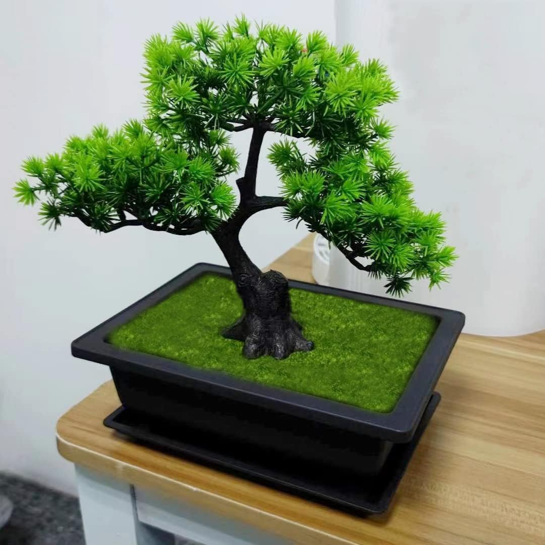 6 Packs Bonsai Training Pots with Trays 6.3 Inch Nursery Pots with Drainage Plastic Bonsai, Come with 12pcs Plant Labels, Rectangle Bonsai Flower Growing for Home Garden, Yard, Balcony, Office (s)