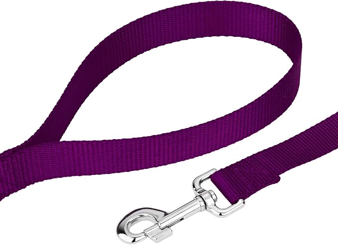 Country Brook Petz - Everyday Nylon Dog Collar and Leash - 10+ Cool Colors (1 Inch, Extra Large, Purple)