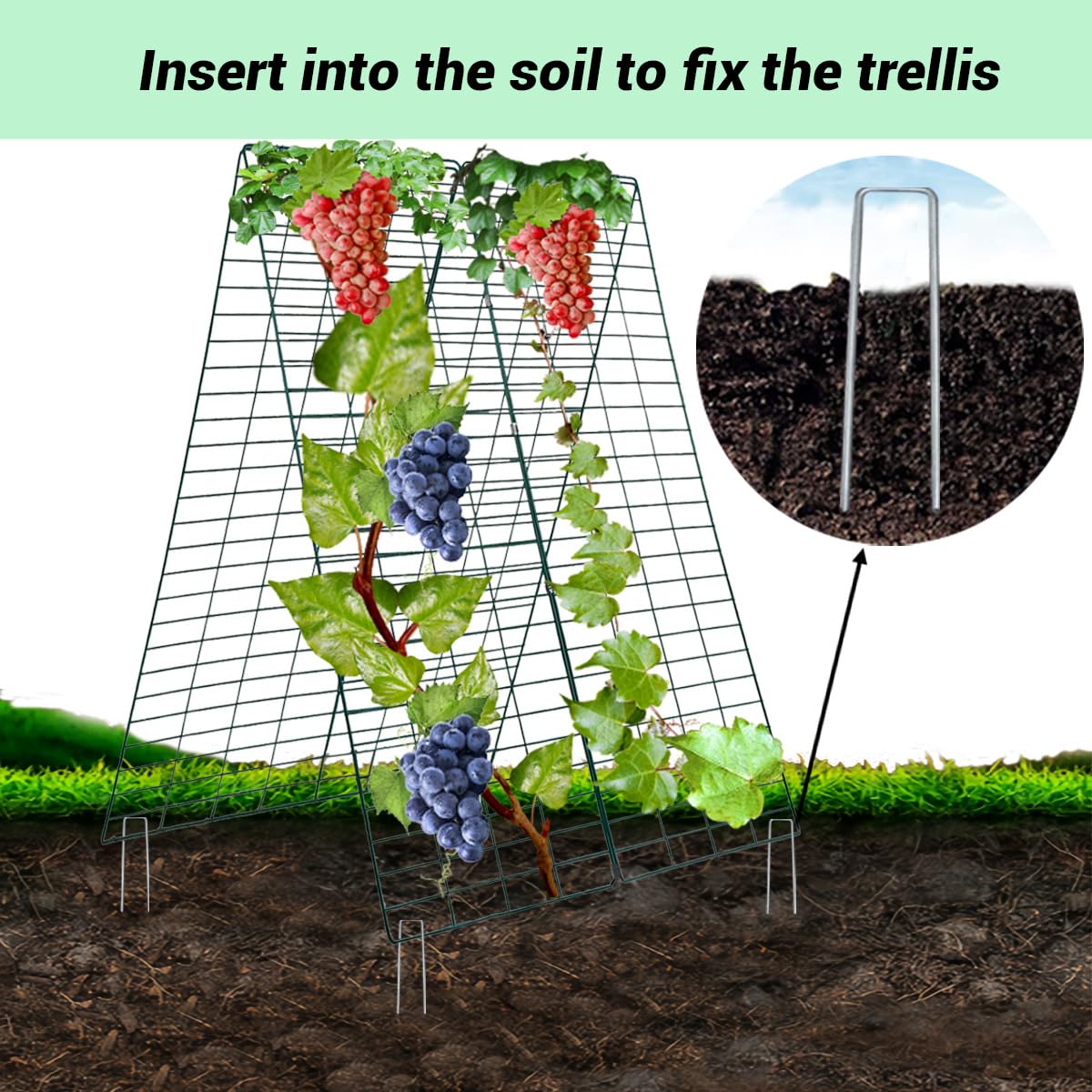 Metal Trellis for Climbing Plants Outdoor Garden Trellis,Cucumber Trellis,Tomato Plant Support/Squash/Zucchini/Sweet Peatrellis,Green Bean/Grape/Vine/Flower Plant Trellis (1pack)