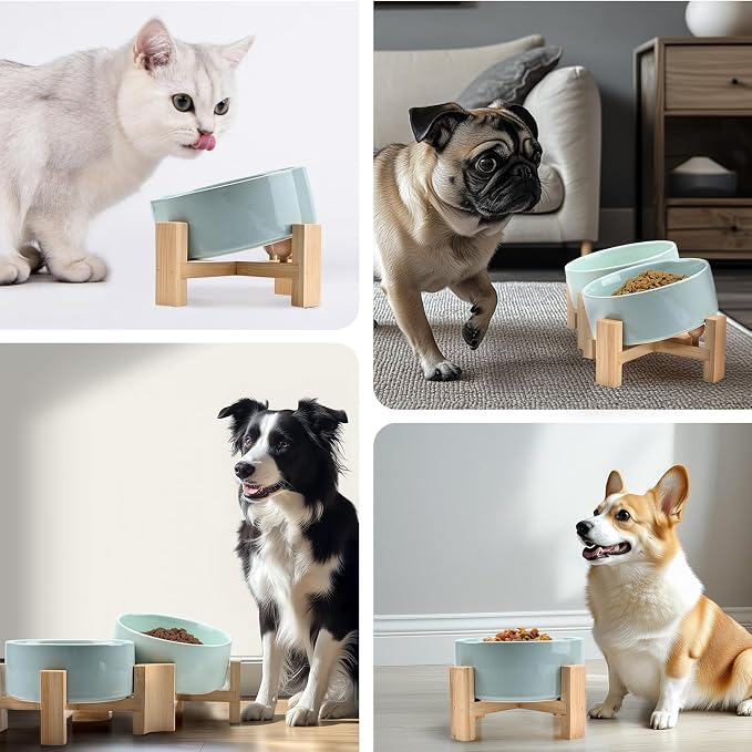 SPUNKYJUNKY 15° Slanted Ceramic Dog and Cat Bowl with Wooden Stand, Tilted Bulldog Food and Water Bowl No Slip Non-Spill for Cats Medium Dogs Big Face Pets 13.5 OZ (1.7 Cups, Morandi Green × 2)