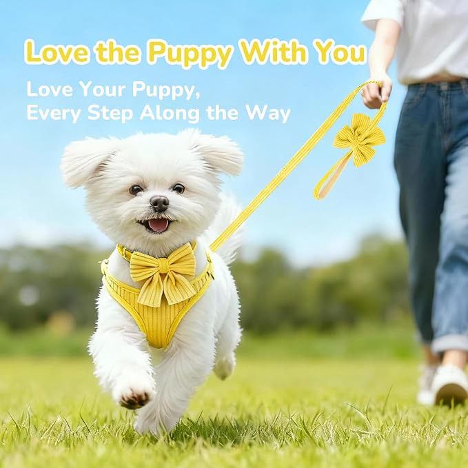 Small Dog Collar Harness and Leash Set, Dog Harness no Pull with Bowtie, Breathable Cotton Adjustable Pet Puppy Harness, Easy Walk Dog Harness, M(16-21")