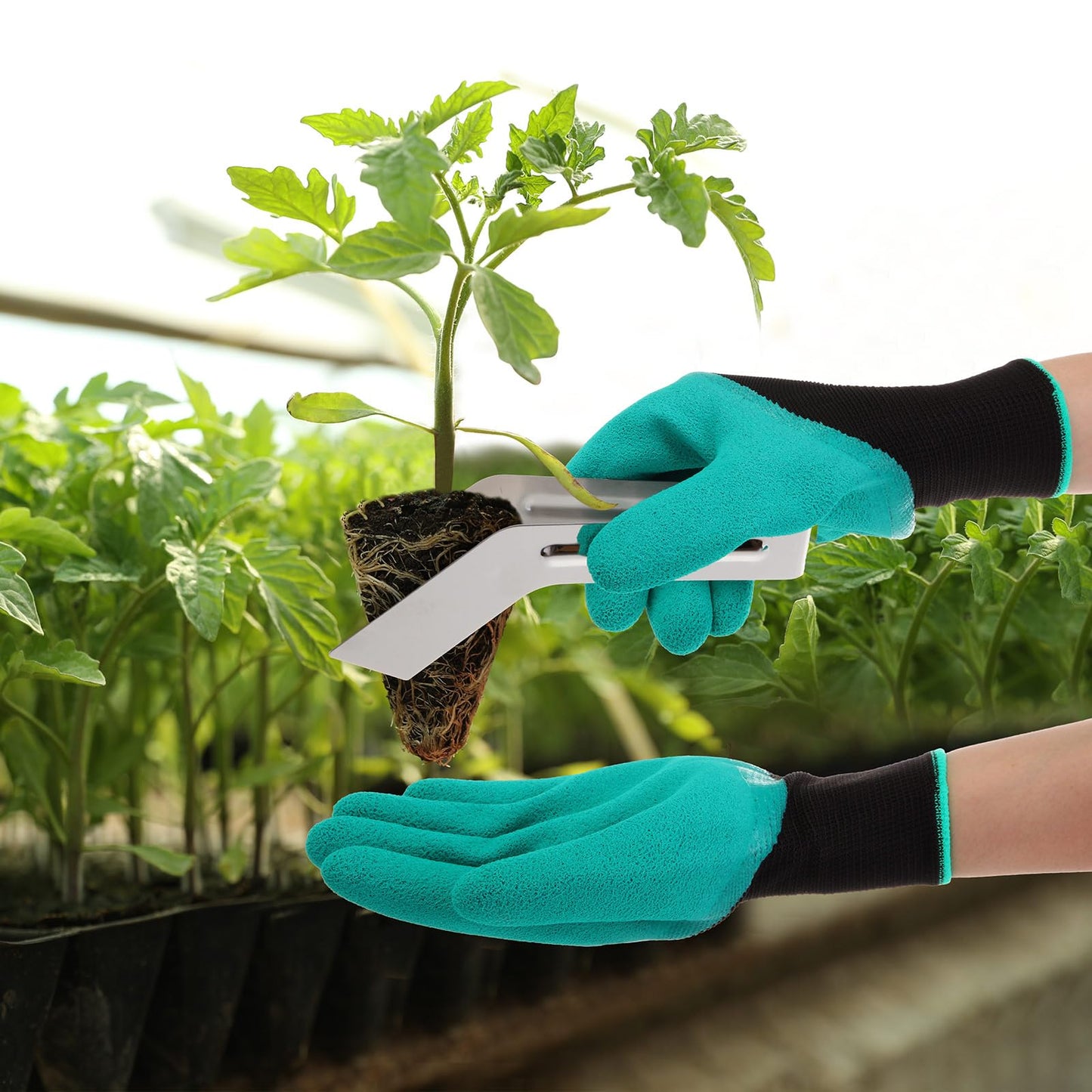 Reallnaive 4 Pcs 6.7 Inch Seedling Transplant Tongs with Gardening Gloves 2 Stainless Steel Gardening Plants Transplant Tongs 2 Rubber Coated Protective Gloves with Grip for Reducing Root Damage