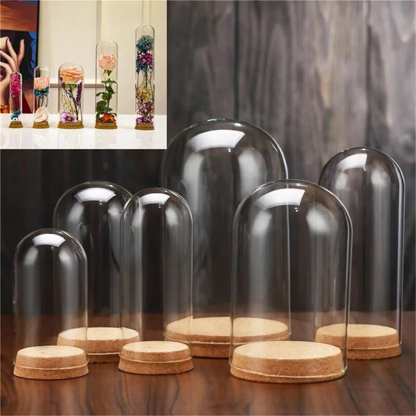 10X Da30mm Glass Bottle Terrarium Jar Cork Base Dome Dust Cover DIY Specimen Succulent Plant Micro Landscape Flower Vase Display(30x90cm)