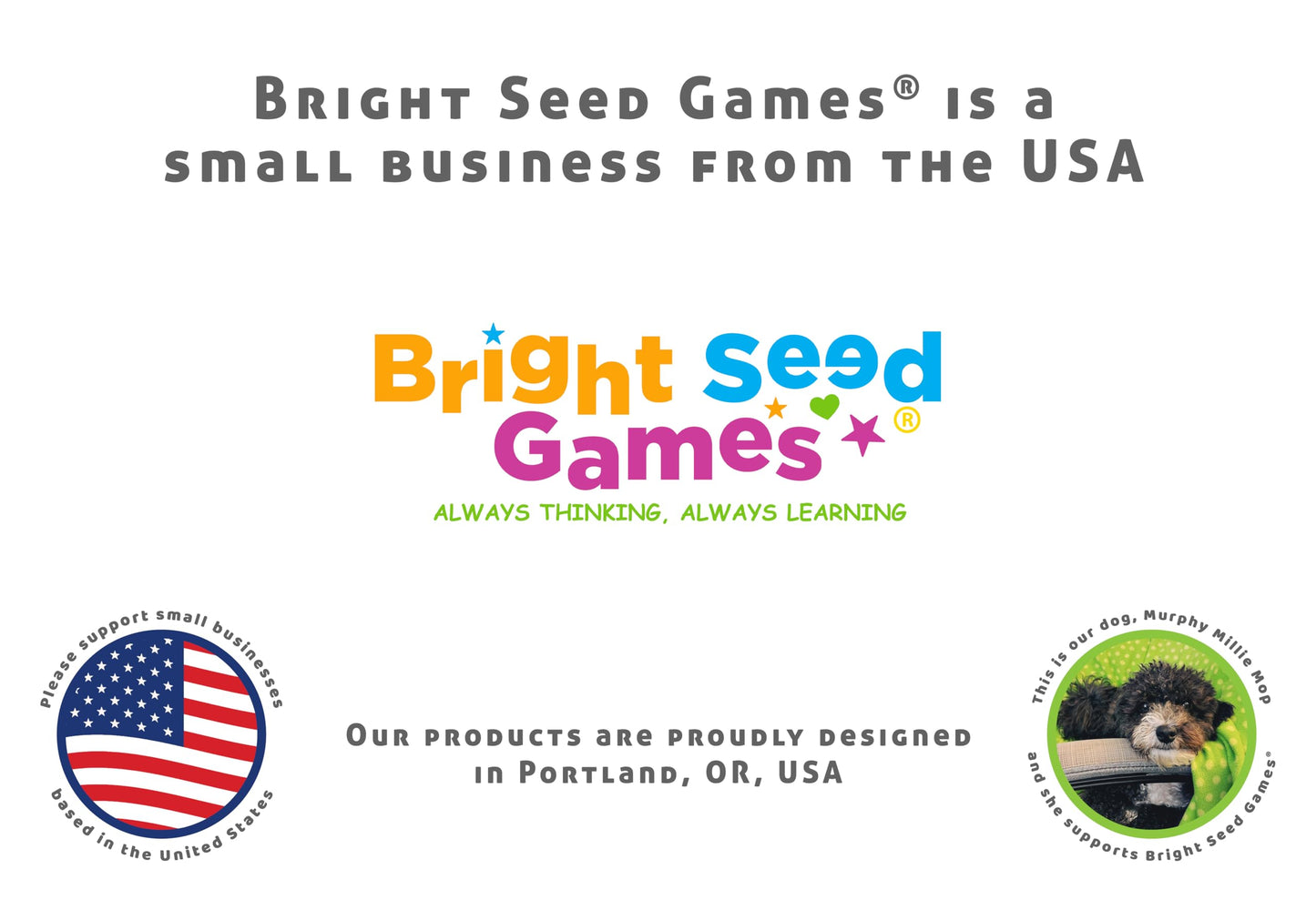 Bright Seed Sight Words Bingo Game for Kindergarten, Learn to Read Sight Word Cards, Word Games for Kids Ages 4-8, Bingo Sight Words Level 3&4, Laminated for Easy Clean