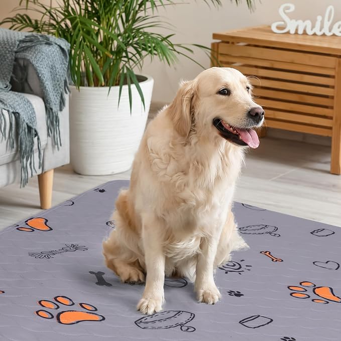 Washable Pee Pads for Dogs, 2 Pack Large 48"x48" Super Absorbent Reusable Training Pads, 100% Waterproof Non-Slip Crate, Whelping, Playpen Mat Bed - Dog Products