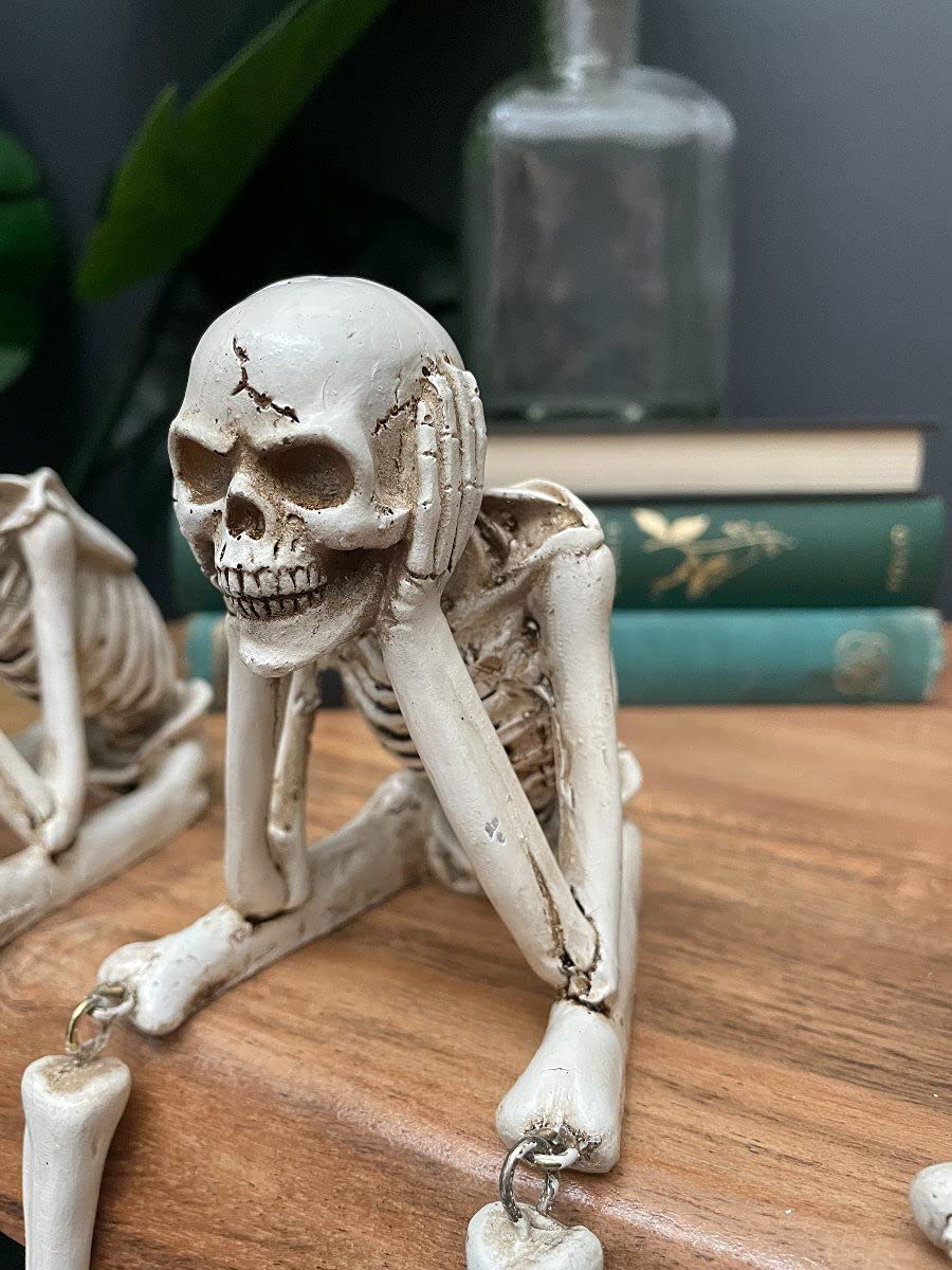 Kakeii Skull Statues Set Resin Skeleton Shelf Sitters Sitting Figurines for Home Bookshelf Table Ledge Edge Decorative, Crafts Ornaments Collectibles Statues for Skeleton Lovers Halloween Decor (3Pcs)