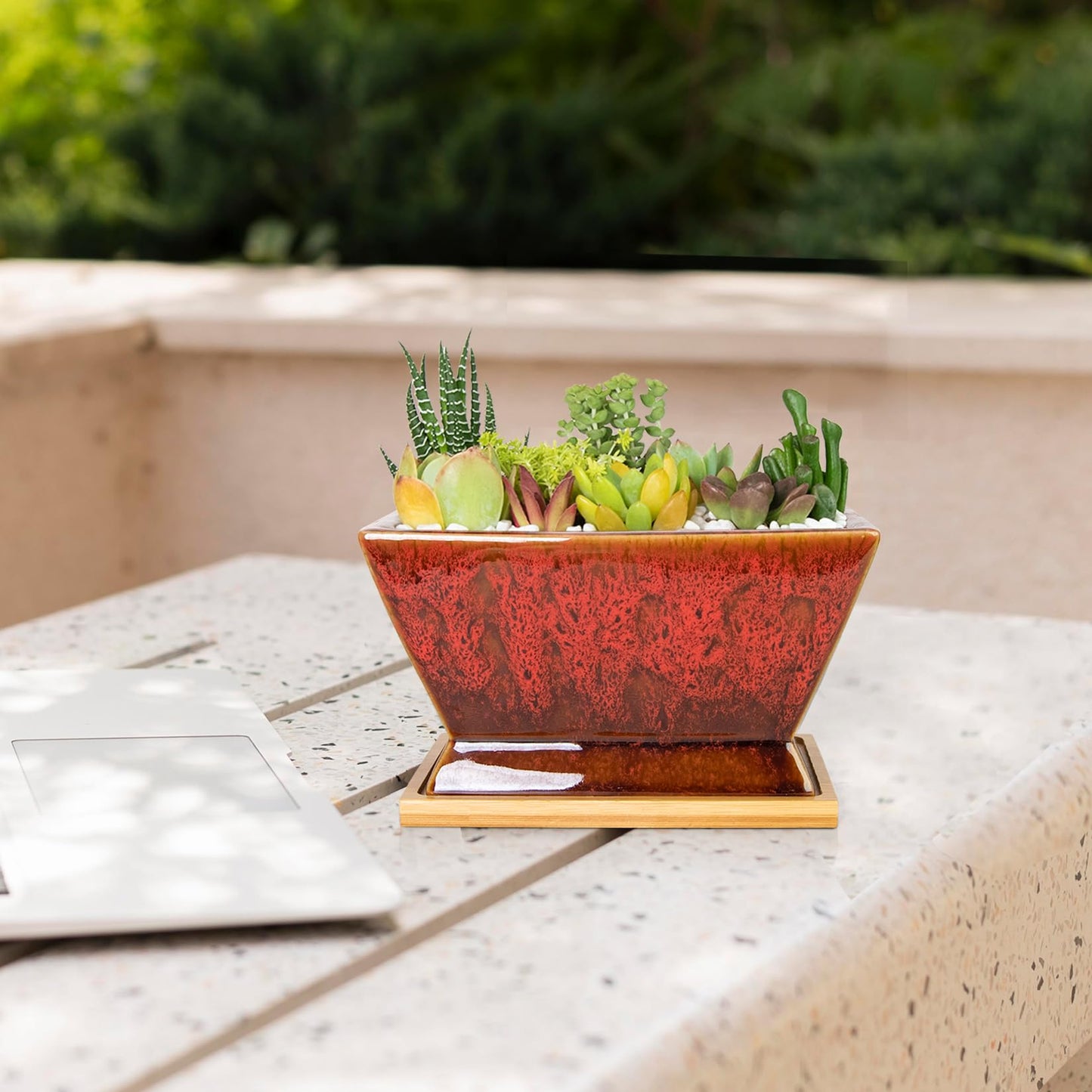 ARTKETTY Succulent Pots - 7 Inch Large Plant Pot with Drainage Tray, Shallow Ceramic Pots for Indoor Plants, Modern Cactus Bonsai Plant Container Decorative Home Office