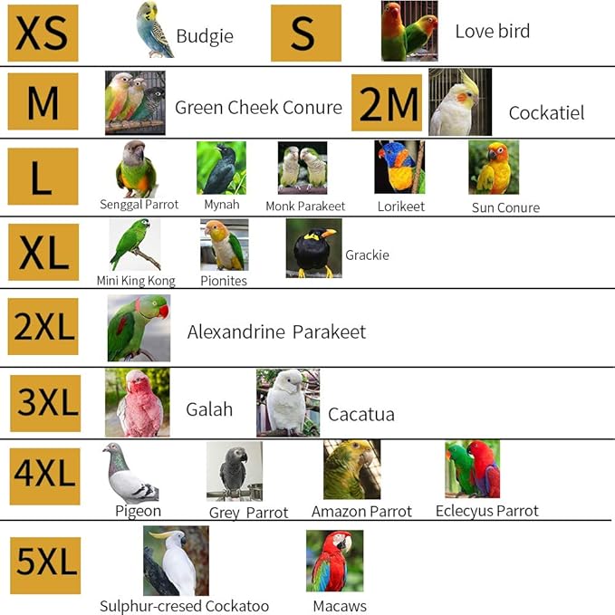Bird Flight Harness Vest Parrot Flight Suit with Leash for Parakeets Cockatiels Conures Budgies, Bird Flying Clothes with Rope and Handle for Outdoor Activities Training (S,Blue)