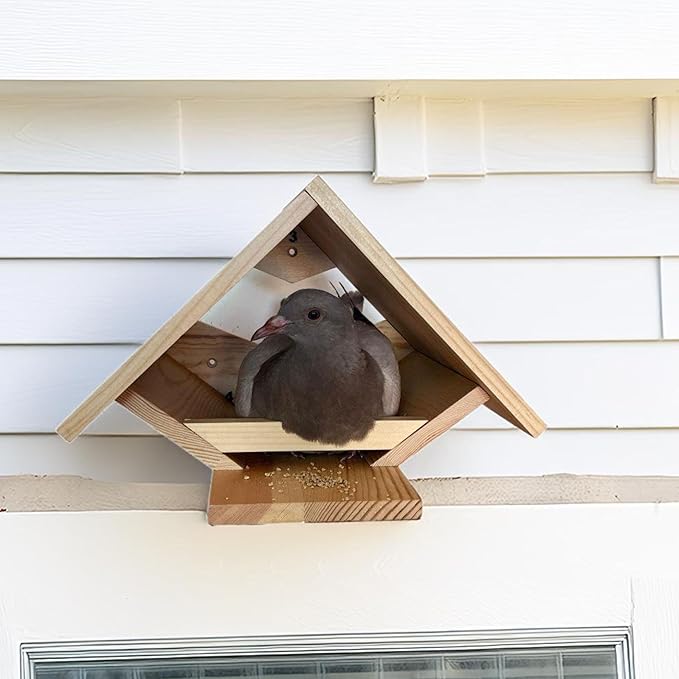 Dove Nesting Platform for Outside - Mourning Dove Nesting Box, Wooden Bird Nest for Pigeons, Open Bird Nesting Platform for Backyard Garden by Decoribles