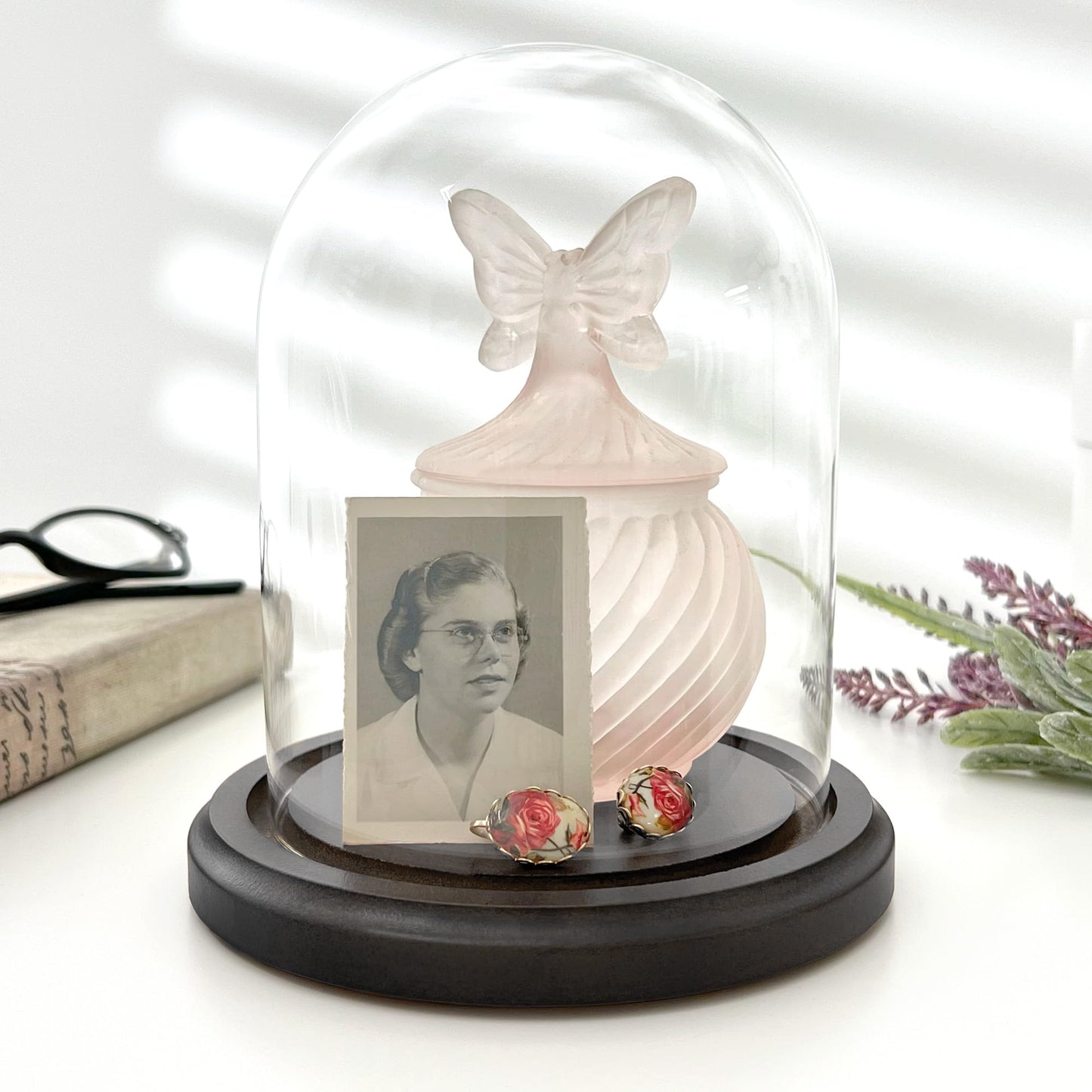 Plymor 4.5" x 6" Glass Display Dome Cloche (Black MDF Wood Base)