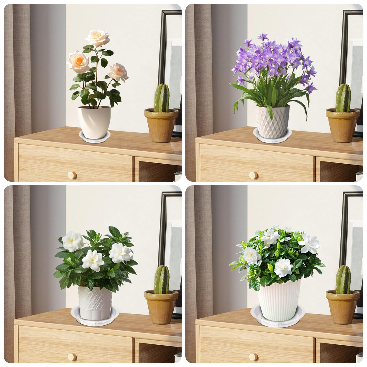 Hyuetrsa 36 PCS Plastic Plant Trays,6/8/10/12 Inch Plant Saucers Clear Plastic,Plastic Plant Saucer Durable Plant Trays for Plant pots Indoors and Outdoors(Round,Clear)