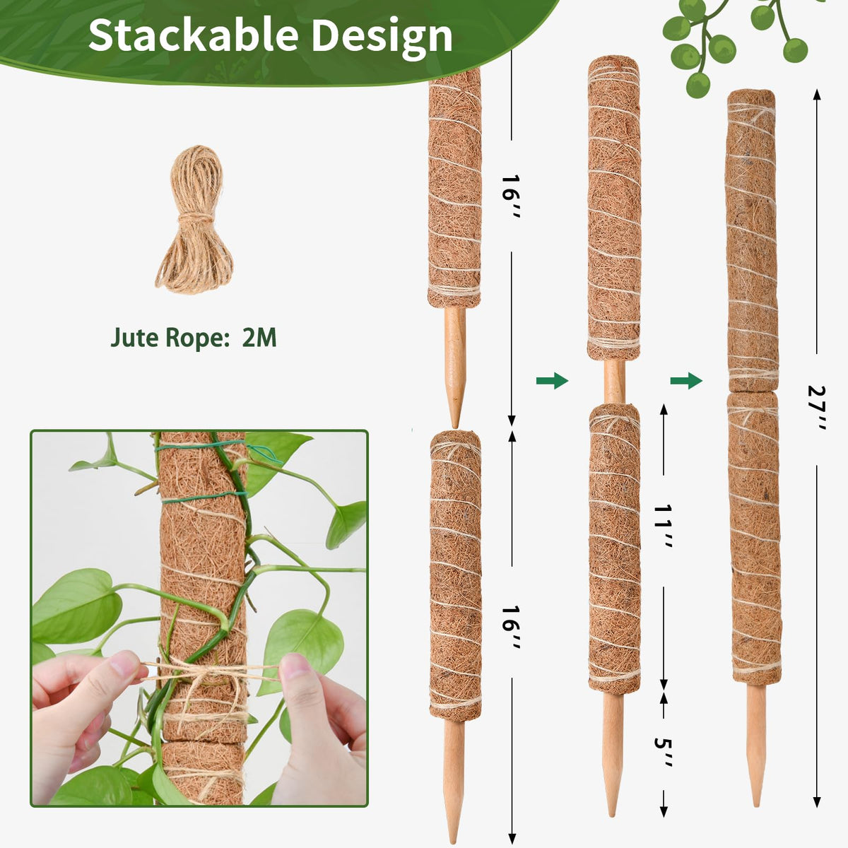 49 inch Tall Moss Pole for Plants, SproutMaven 4 Pieces of 16 Inch Monstera Moss Pole kit for Indoor Outdoor Climbing Plants Lianas to Grow Upwards