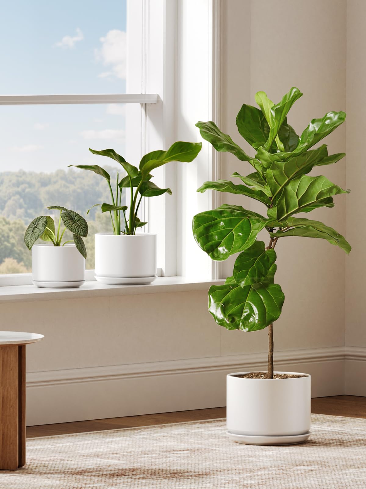 LE TAUCI Ceramic Pots for Plants, 10 Inch Plant Pot with Drainage Hole & Saucer, Sturdy & Modern Planters for Indoor Plants, Includes Mesh Screen, Fits Snake Plant & Monstera, White