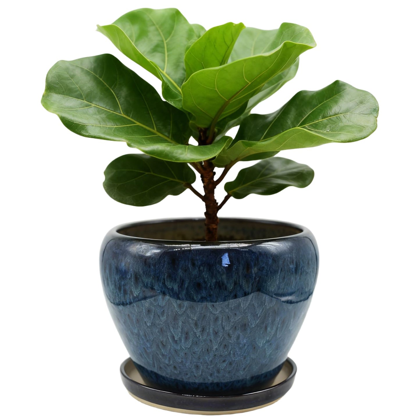 MAGP 10 Inch Large Plant Pots with Drainage Hole and Saucer, Large Ceramic Decorative Flower Pot for Plants Indoor Outdoor Planter, Round Blue