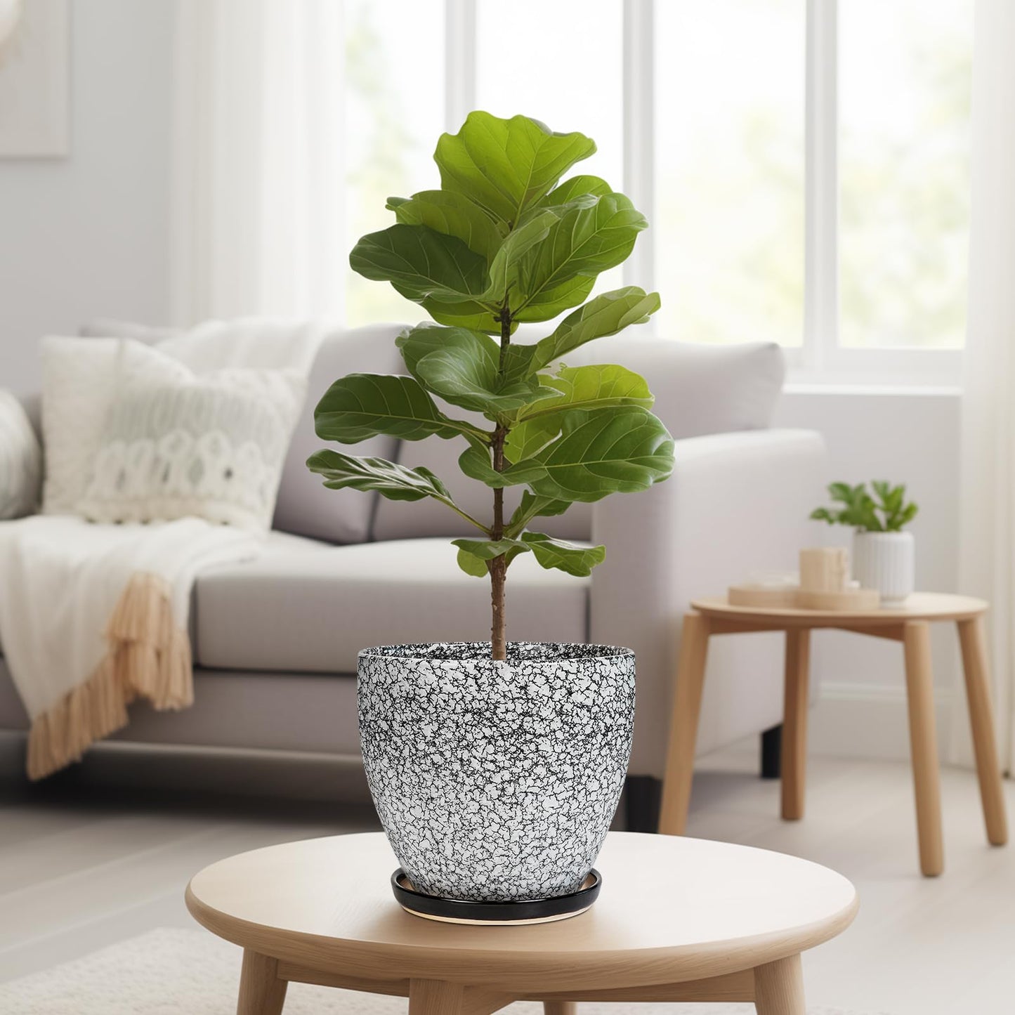 EPFamily Ceraimc Plant Pot - 8 Inch Planter with Drainage and Saucer, Modern Round Planter, Flower Pot for Indoor Outdoor Plants, Home Room Garden Apartment Decor, Gifts for Plant Lovers, White-Black