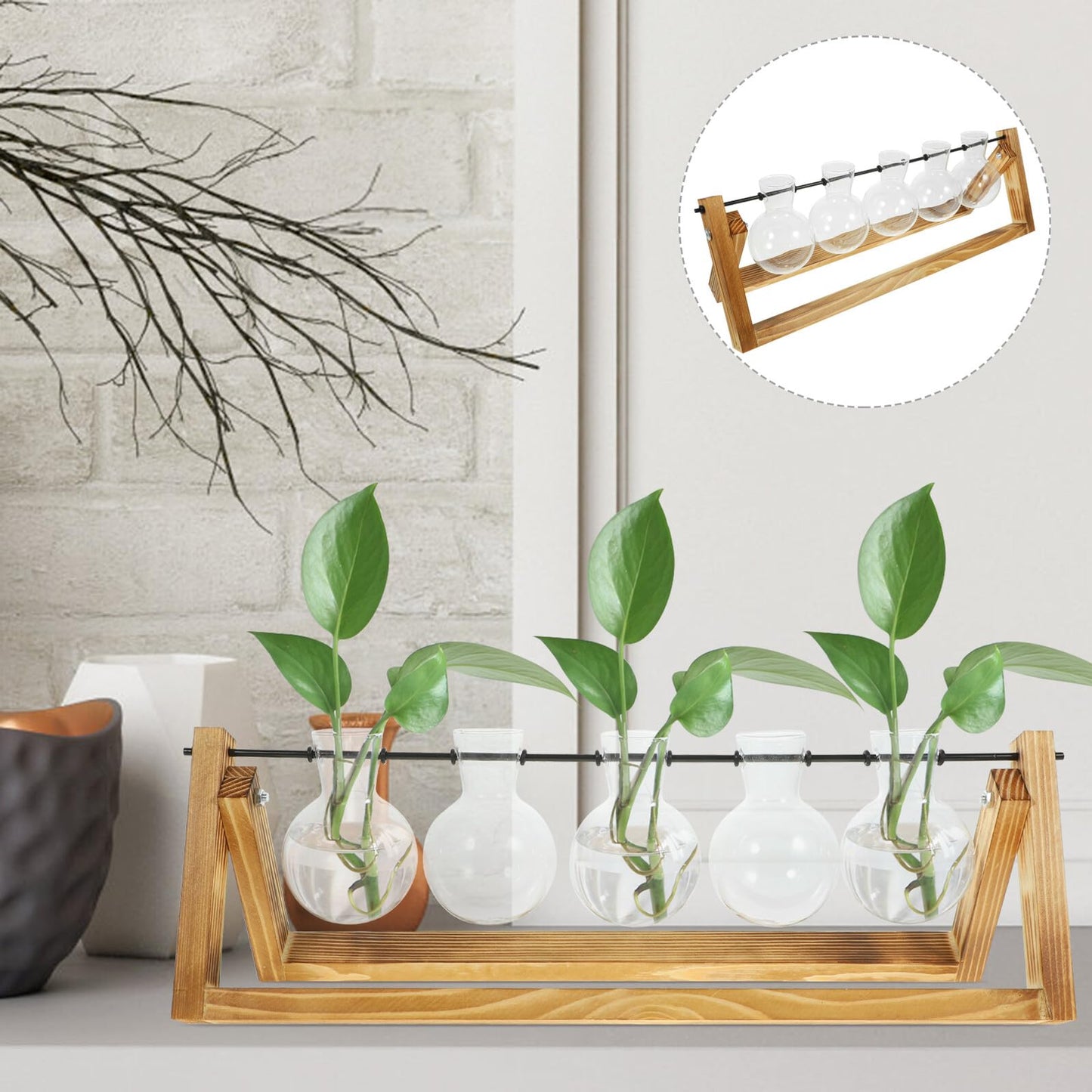 BESTonZON Glass Plant Propagation Station with 5 Glass Vases and Wooden Stand, Hydroponic Vase Set for Desktop Green Plant Water Cultivation and Home Décor