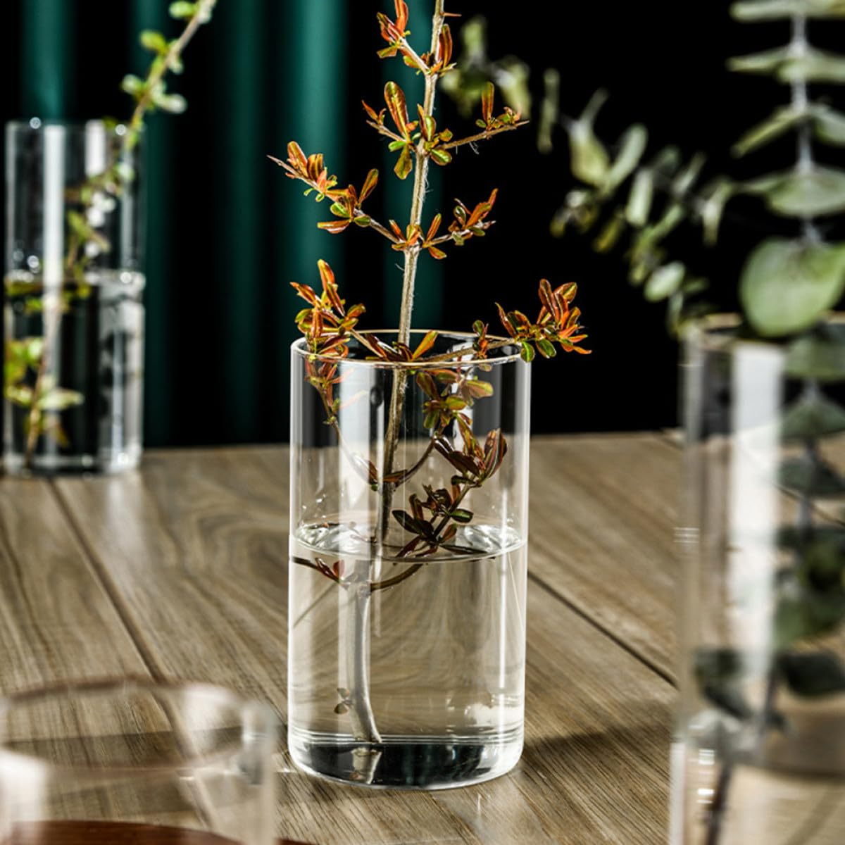 FOMIYES Glass Flower Vase Hydroponic Terrarium Vase 10cm X 25cm High Borosilicate Glass for Indoor Plant Propagation and Floral Arrangements