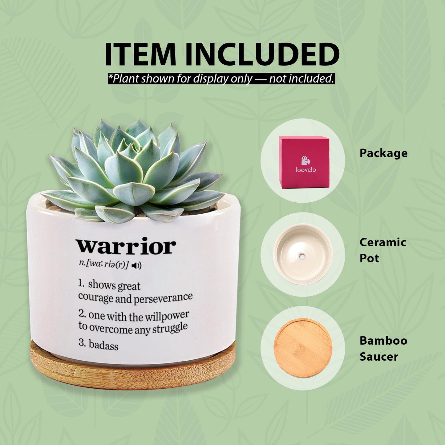Warrior Definition Inspirational Gifts Ceramic Succulent Plant Pot with Bamboo Tray Round Motivational Encouragement Gifts Cancer Survivor Sobriety Home Decor Plant Lover 3.5 Inch White (No Plants)