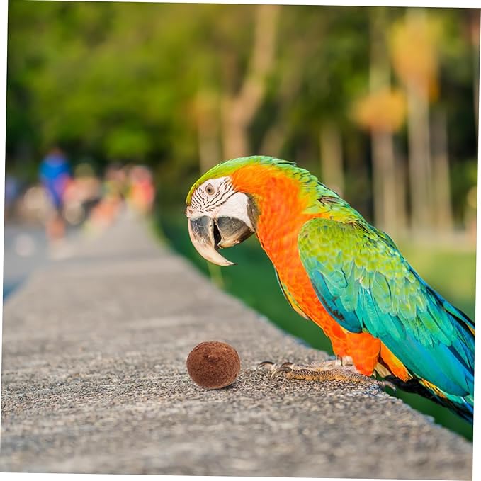 5Pcs Bird Mineral for Parrots Natural Chewing Stone for Beak Health Essential Bird Cage Accessories for Calcium Digestion Support