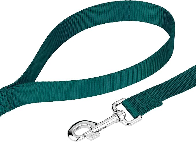 Country Brook Petz - Everyday Nylon Dog Collar and Leash - 10+ Cool Colors (3/8 Inch, 3XS, Teal)