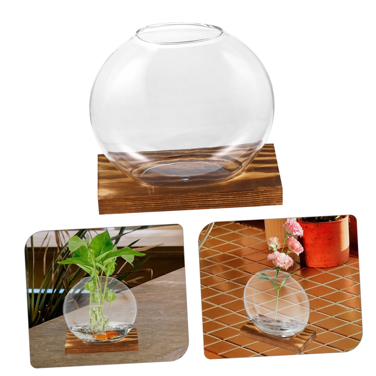 UPKOCH 2Sets Clear Glass Vases with Natural Eucalyptus Base Small Plant Terrarium for Home Decor Hydroponic Display Artistic Design for Indoor Plants and Decorative