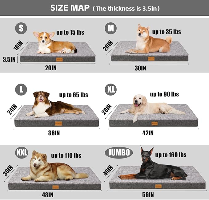 Patas Lague Orthopedic XL Dog Bed Large Sized Dog 48''X30'', Soft Waterproof Egg Crate Foam Large Pet Crate Beds Mat with Removable Washable Cover and Non-Slip Bottom, Light Grey