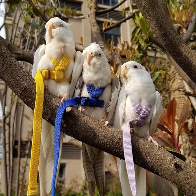 Adjustable Bird Harness with Elastic Leash, Pet Parrot Harness and Leash, Adjustable Training Design Anti-Bite, Bird Nylon Rope with Cute Wing for Conure (Yellow,Macaw)