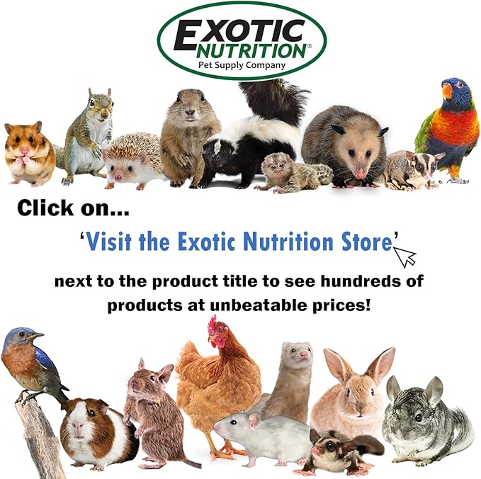 Bungie Spring - Interactive Hanging Perch Bendable Rope Coil Climbing Cage Accessory Toy - Sugar Gliders, Birds, Parrots, Squirrels, Marmosets, Rats, Degus, Chinchillas, Ferrets, Chinchillas, Hamsters