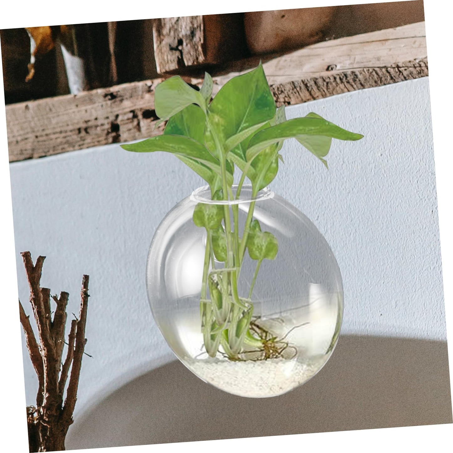 Zerodeko Transparent Glass Wall Hanging Planter Vase for Hydroponic Plants Space Saving Glass Terrarium Container for Indoor Home Decor Easy to Clean and Maintain Suitable for Small